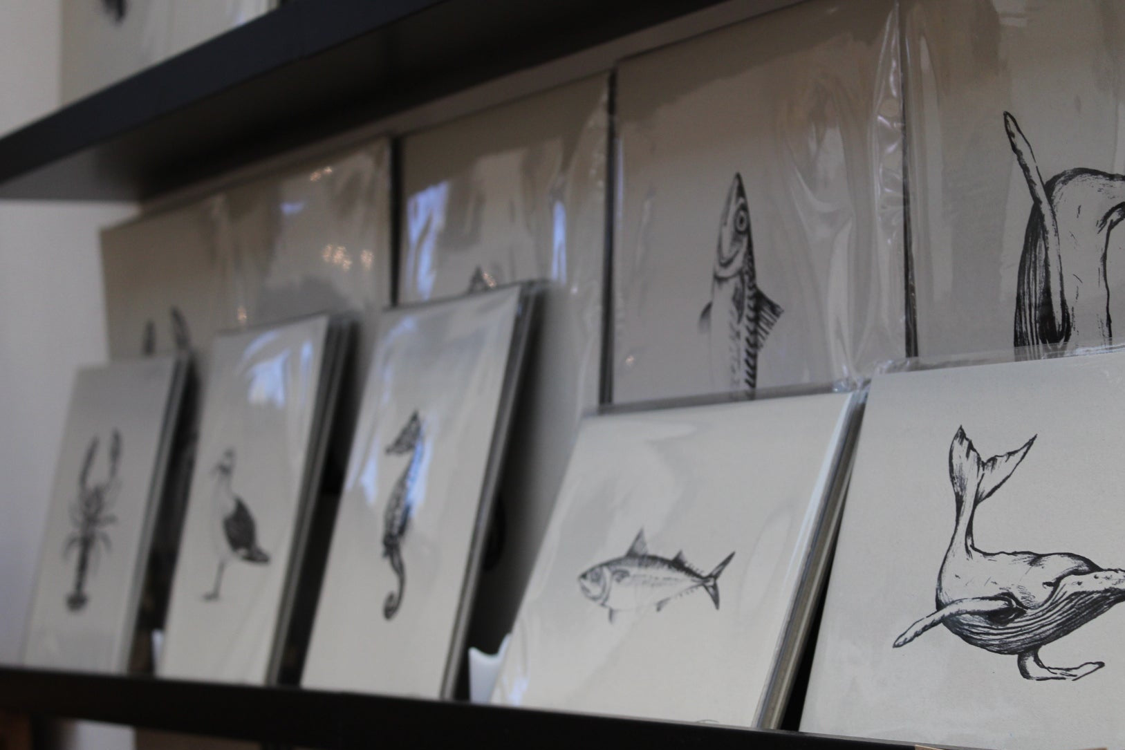 All Art Prints