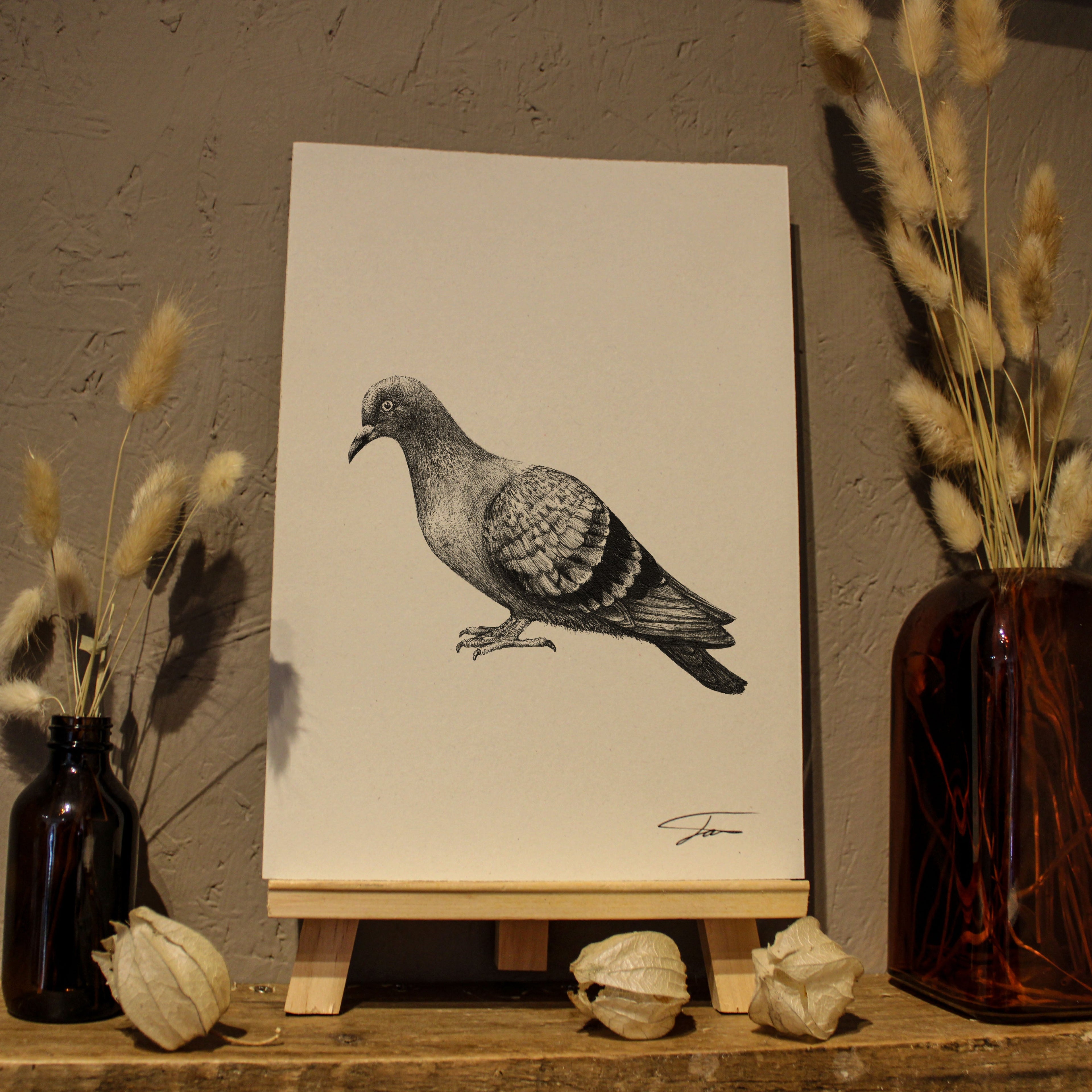 Birds