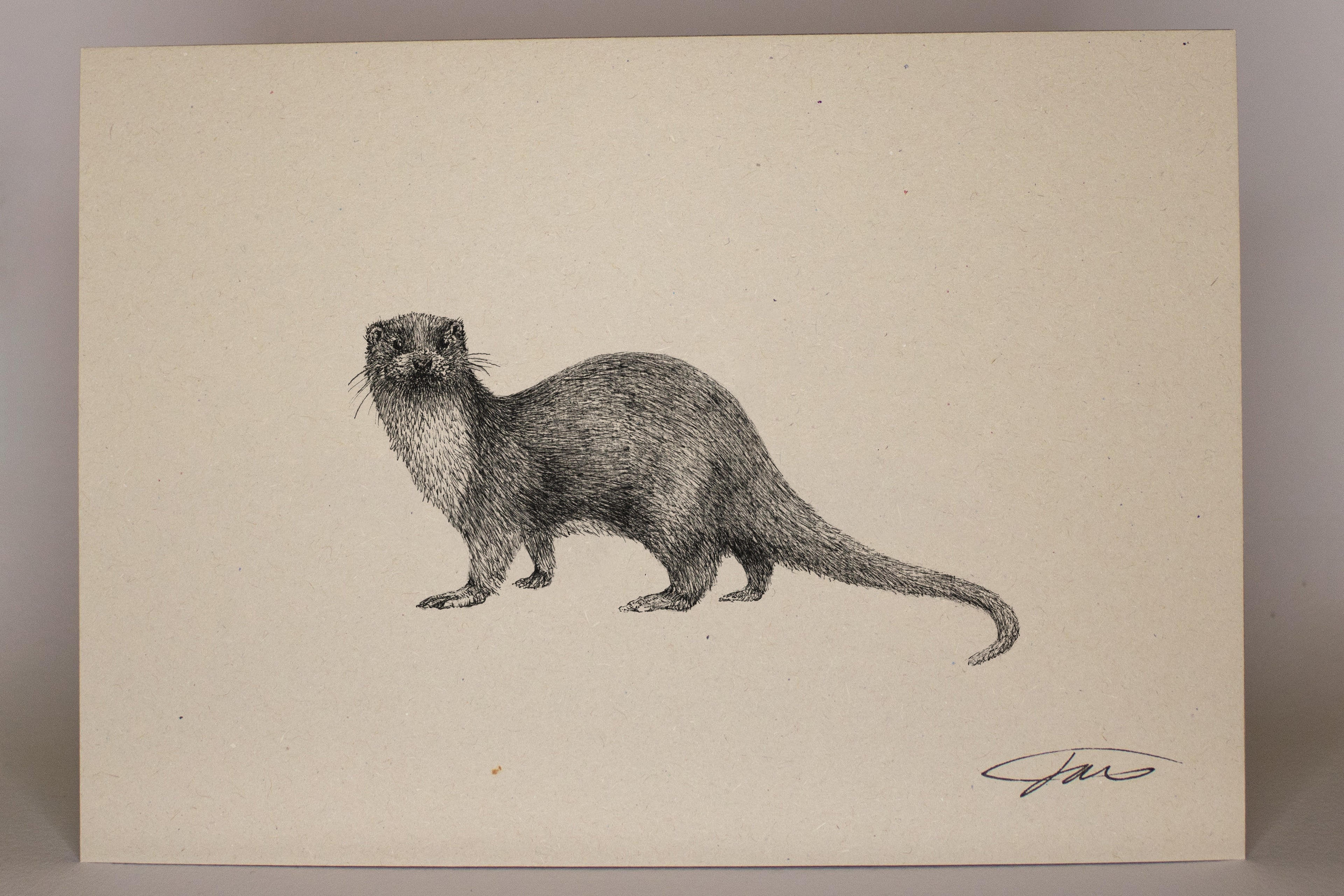 Mammals