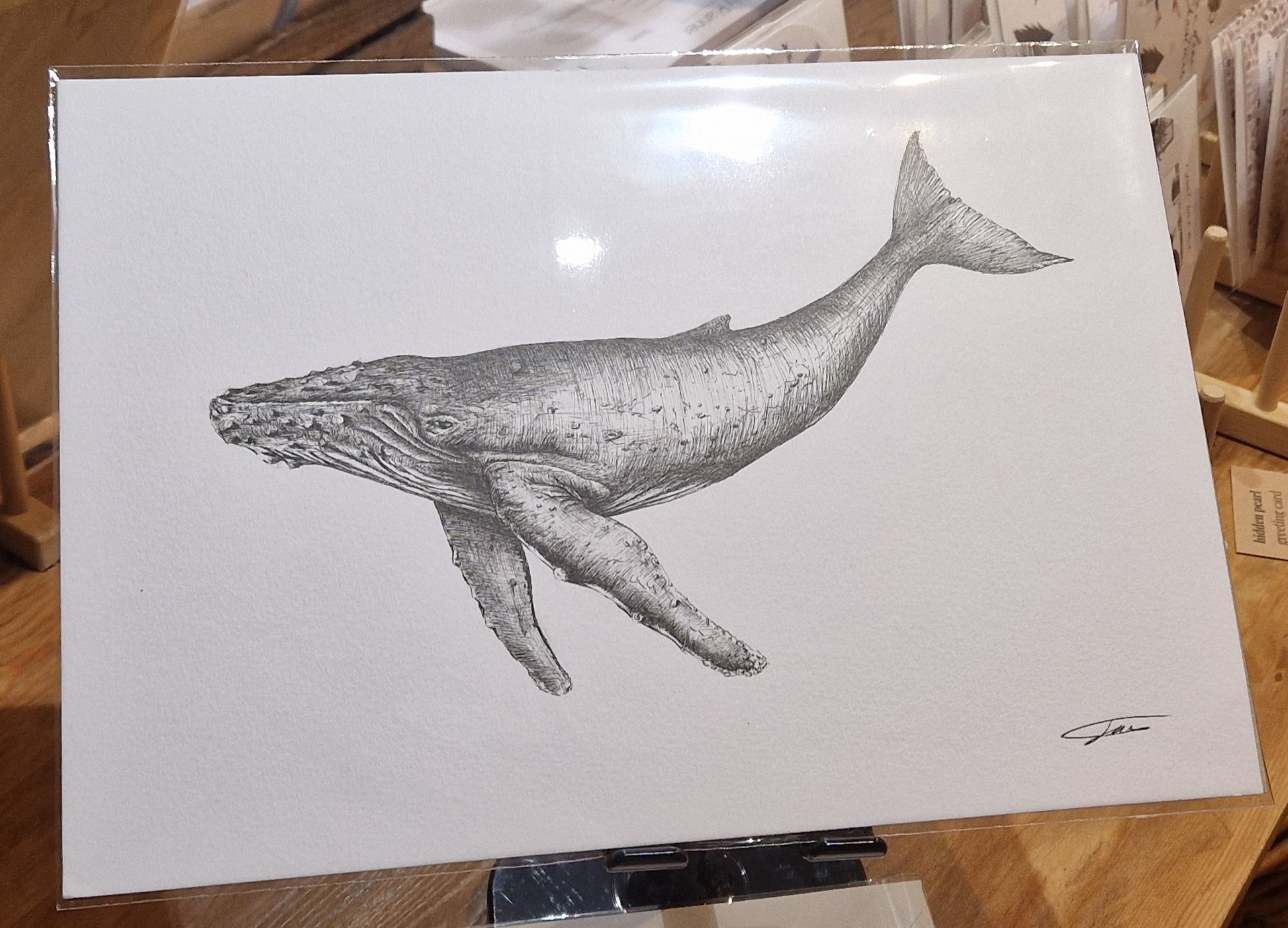 A4 whale #1