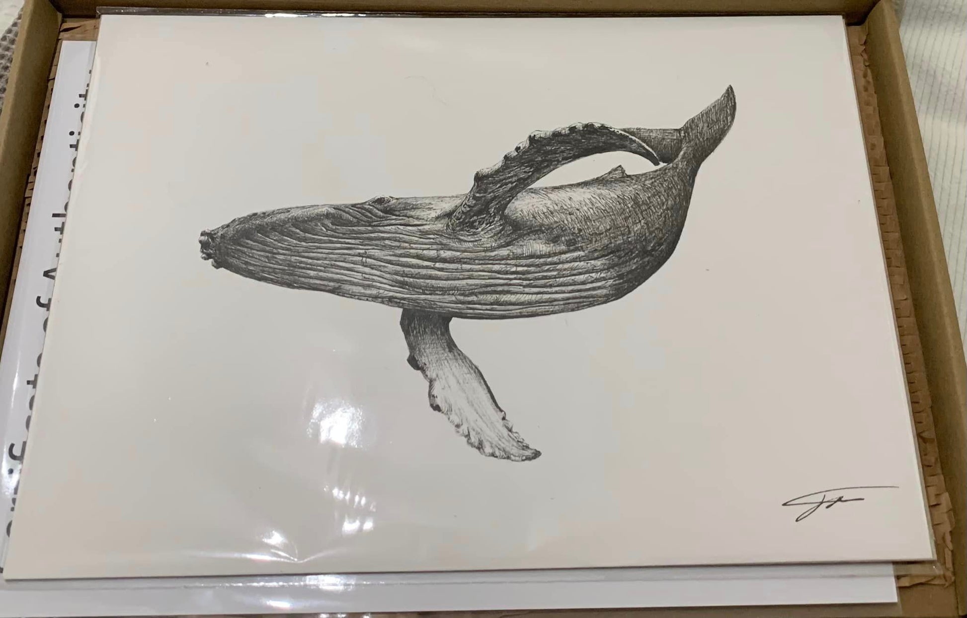 A4 whale #2