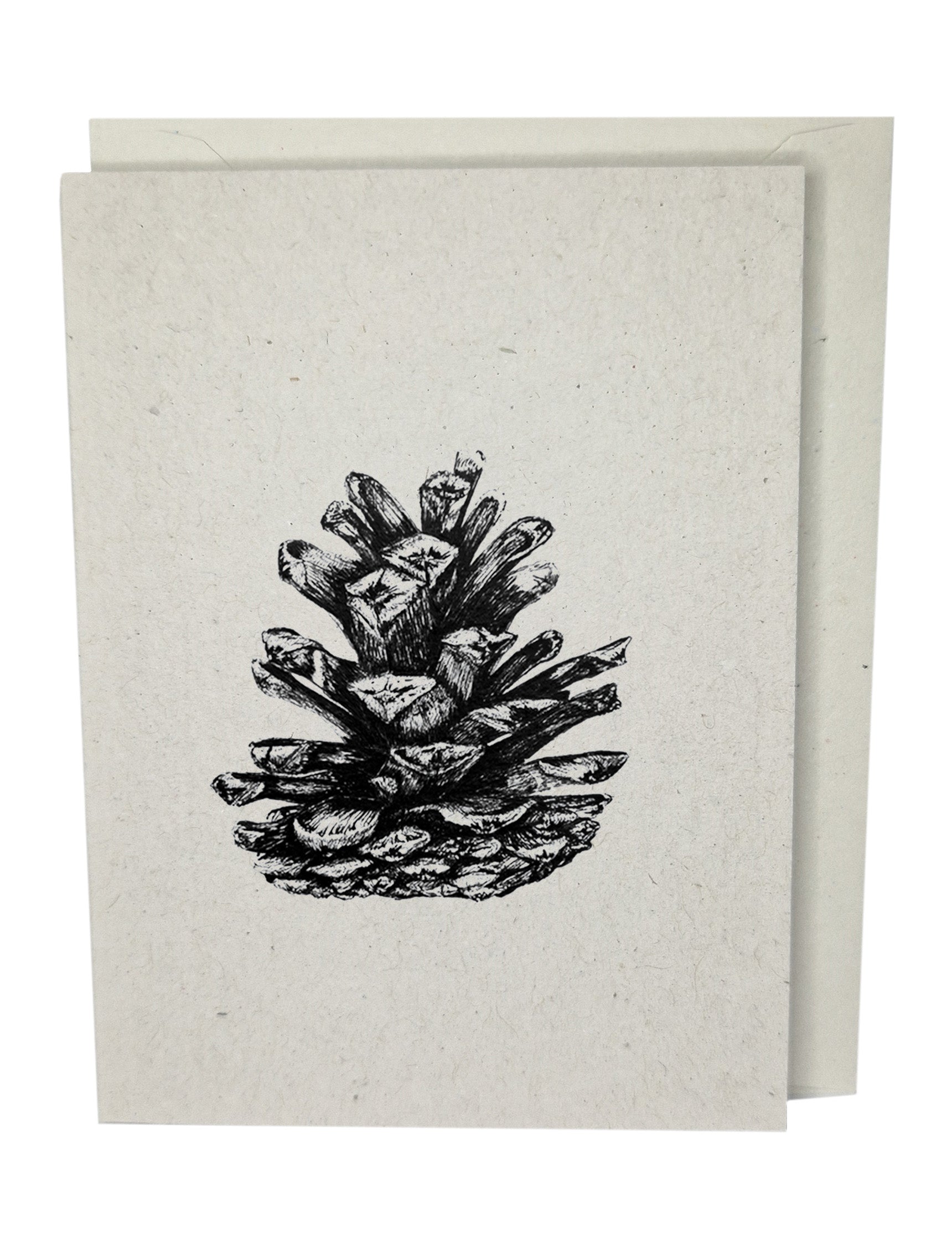 Pine Cone Greeting Card A7