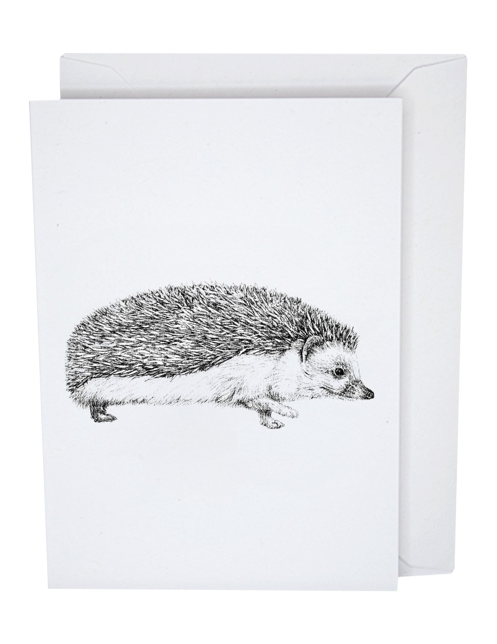 Hedgehog Greeting Card A7