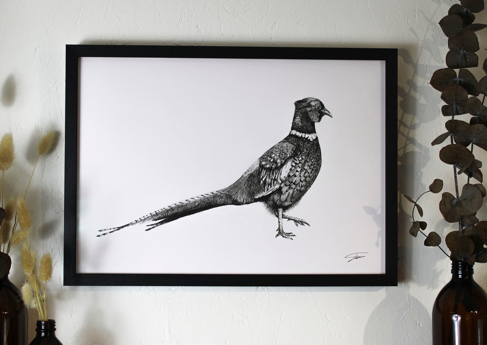 A3 the pheasant (Framed)