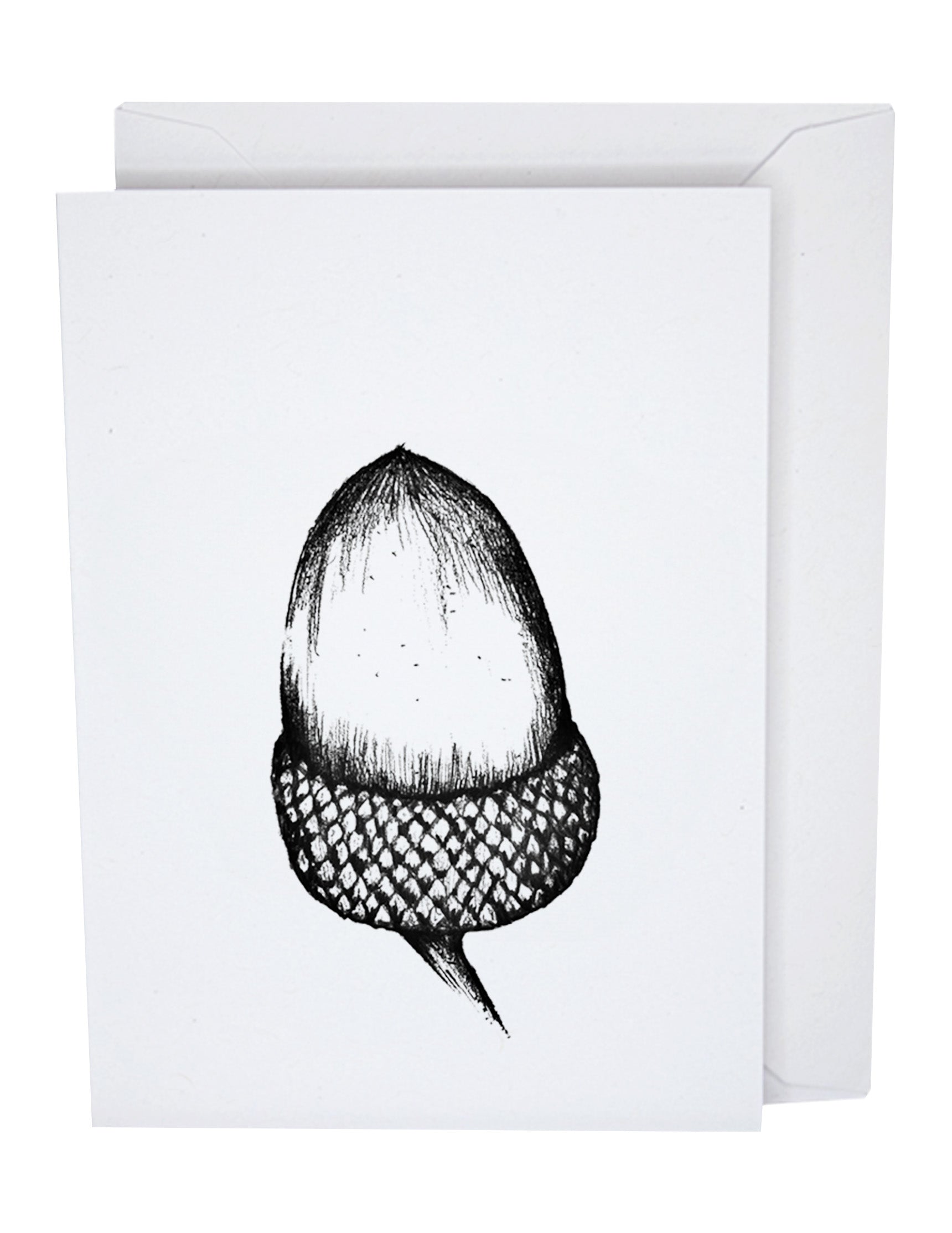 Acorn Greeting Card A7