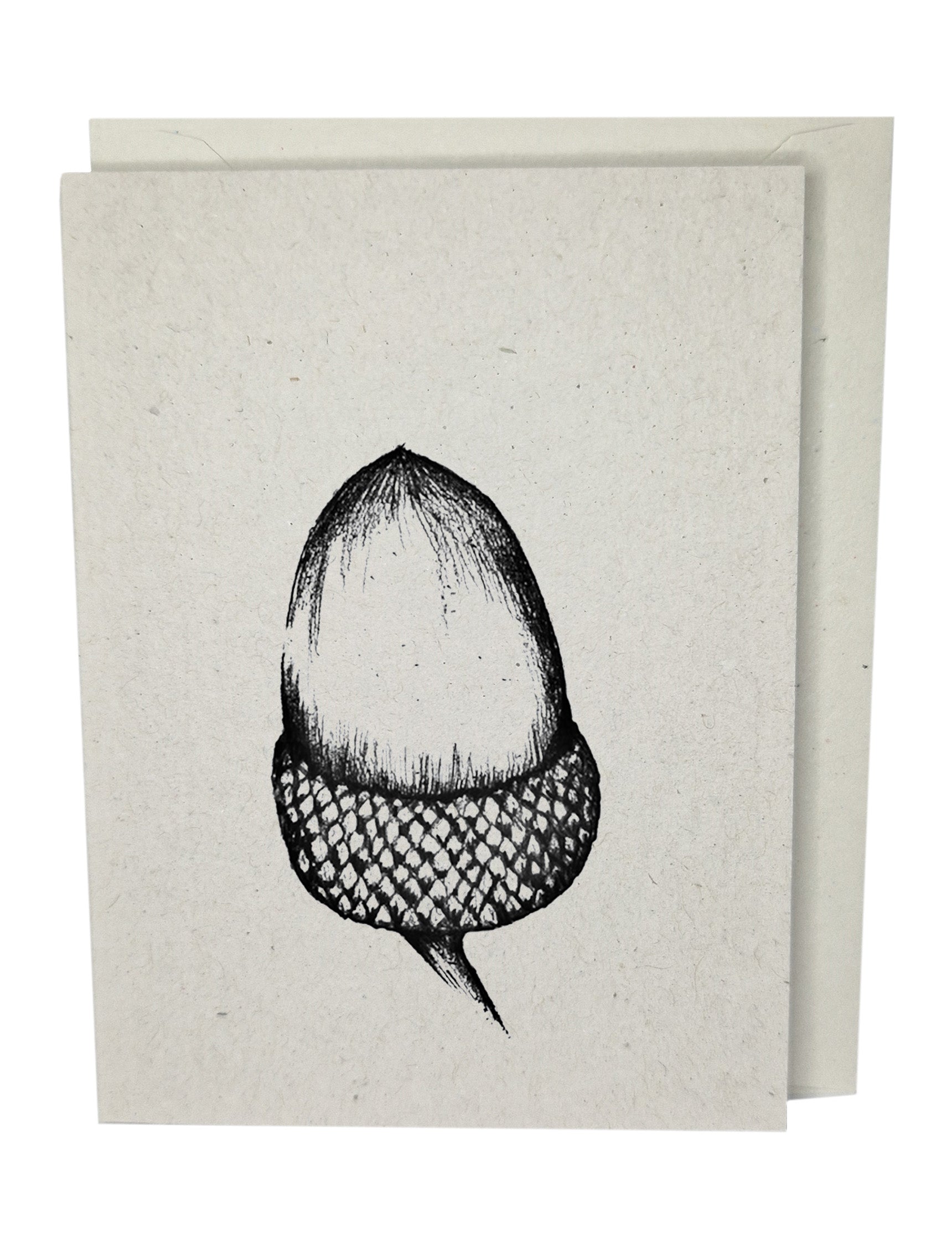 Acorn Greeting Card A7