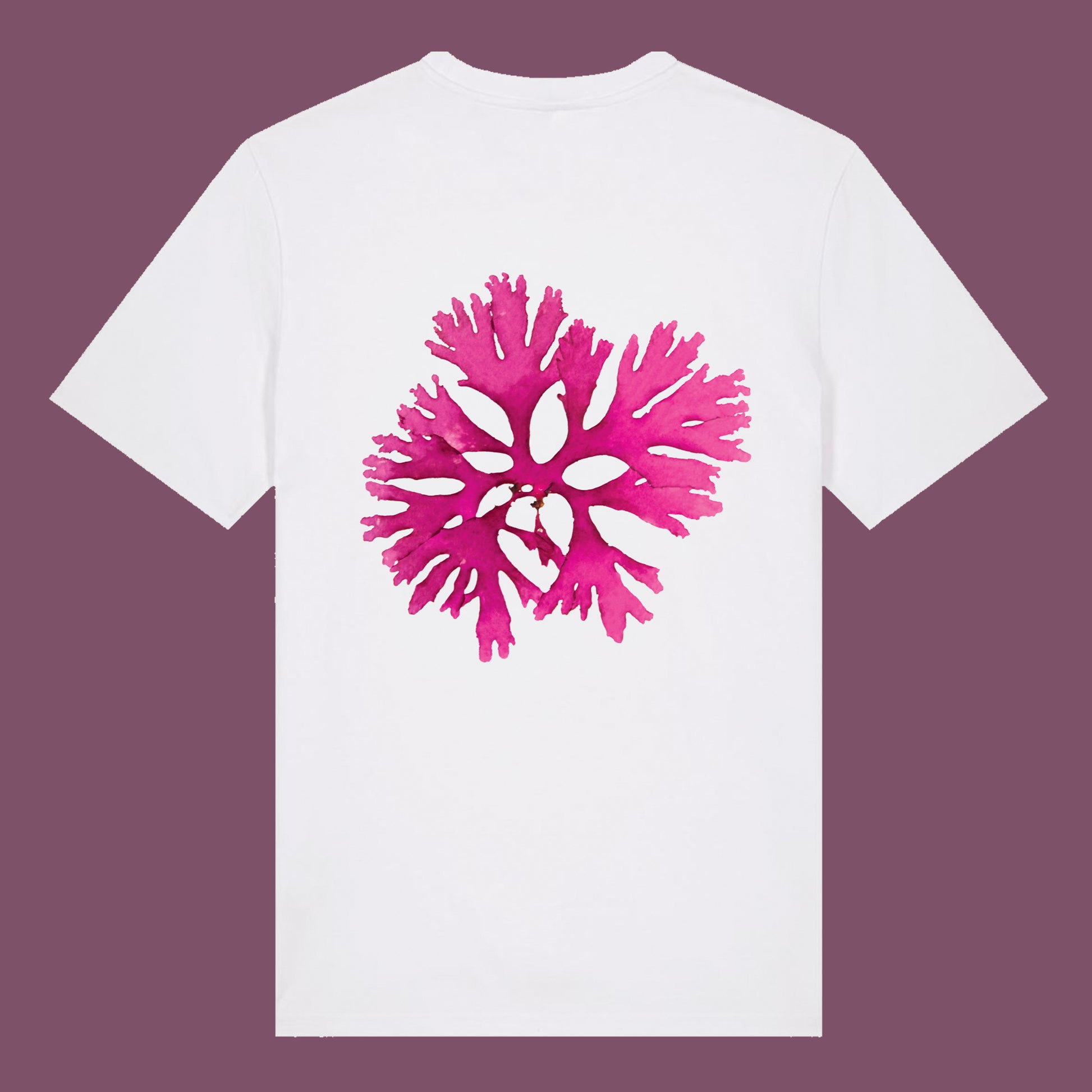 Dart Seaweed Cotton T-Shirt