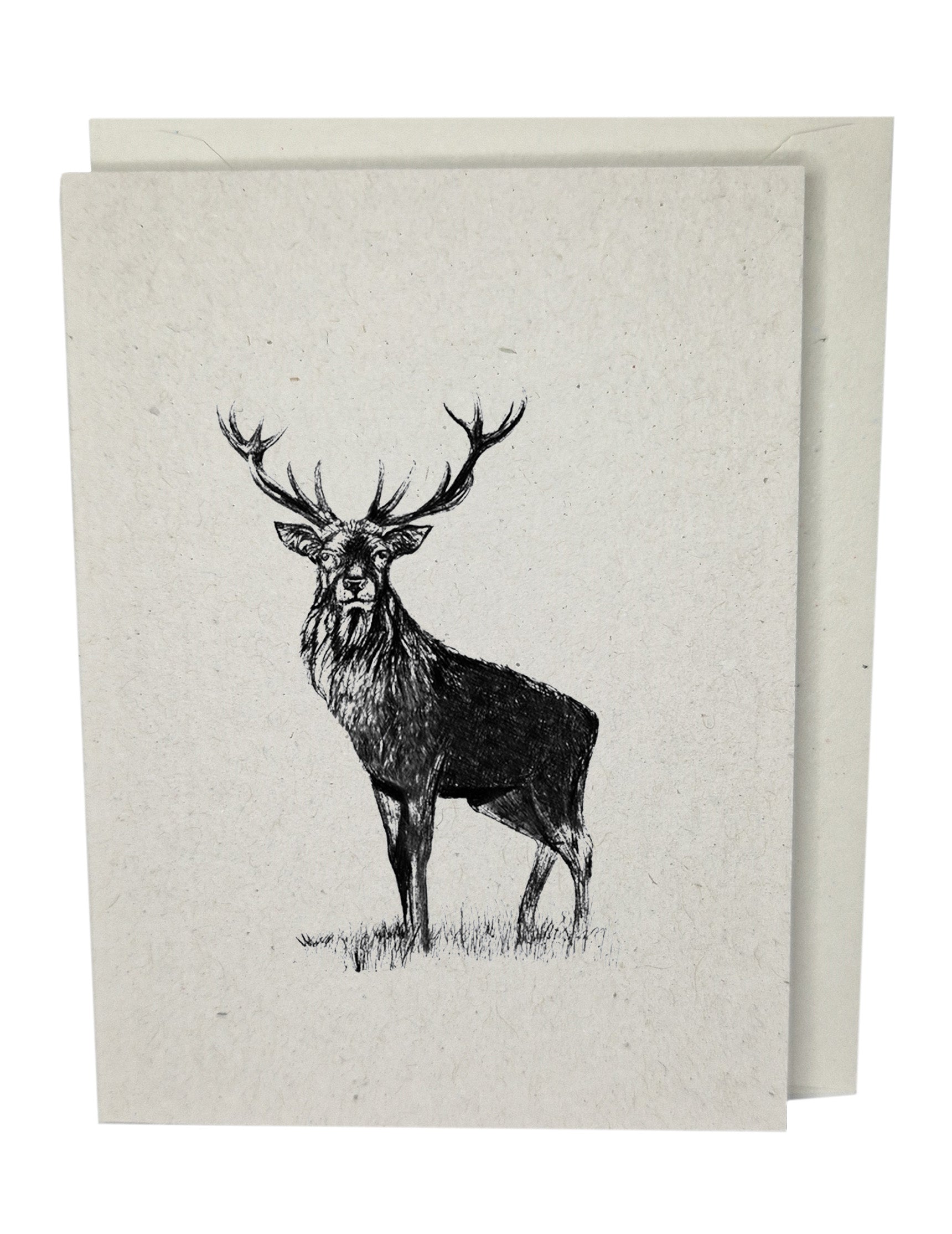 Stag Greeting Card A7