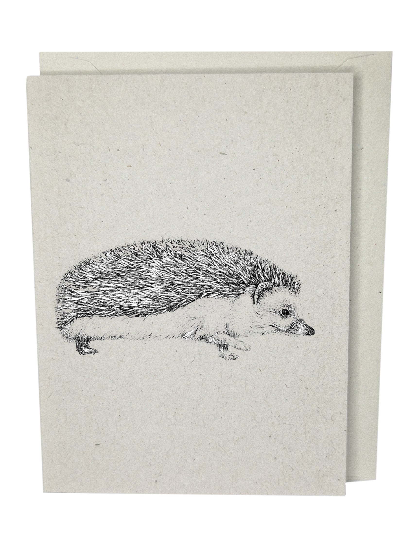Hedgehog Greeting Card A7