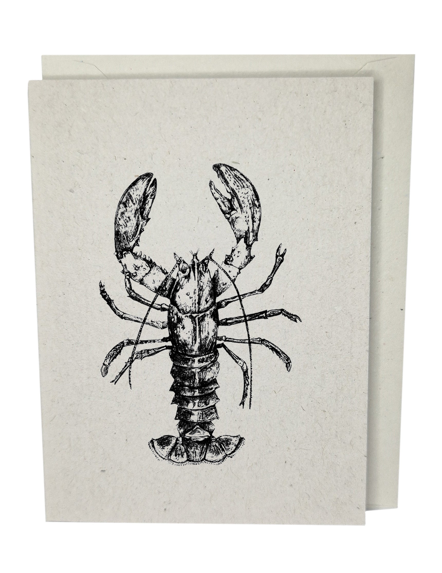 Lobster Greeting Card A7