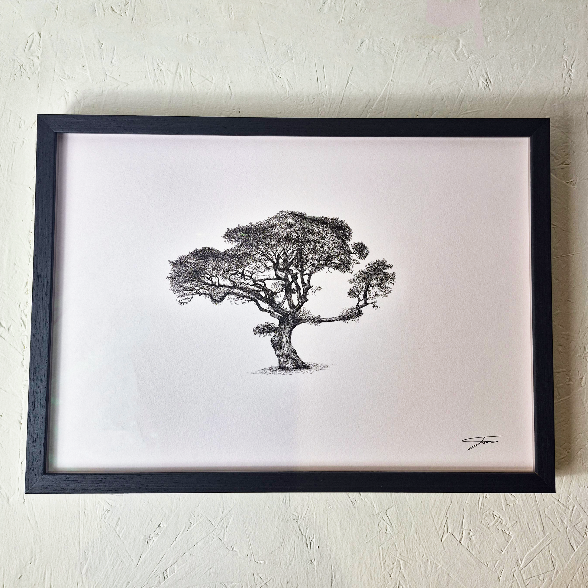 A3 Oak Tree Original (Framed)