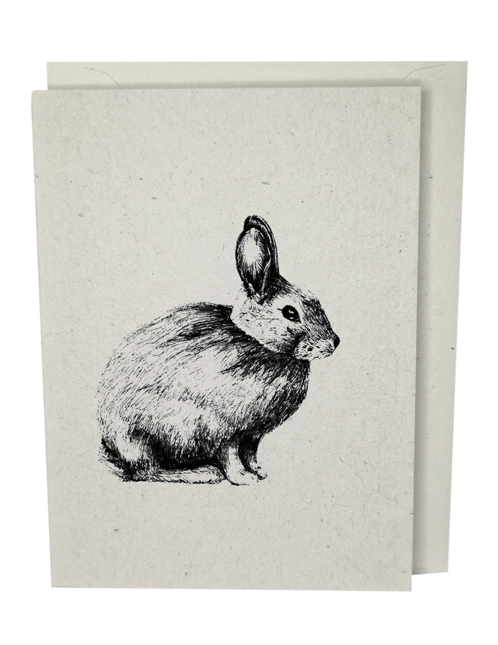 Rabbit Greeting Card A7