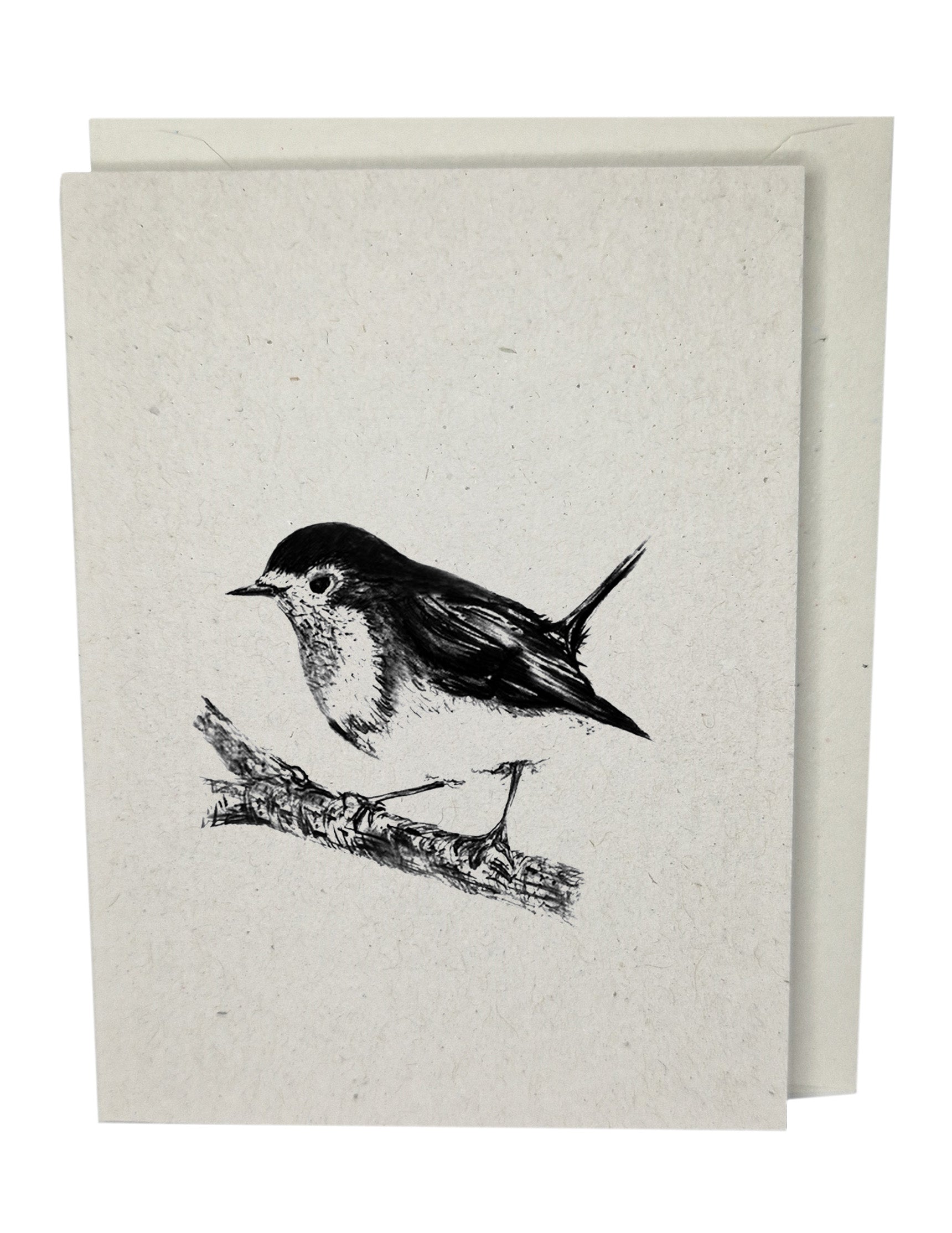 Robin Greeting Card A7