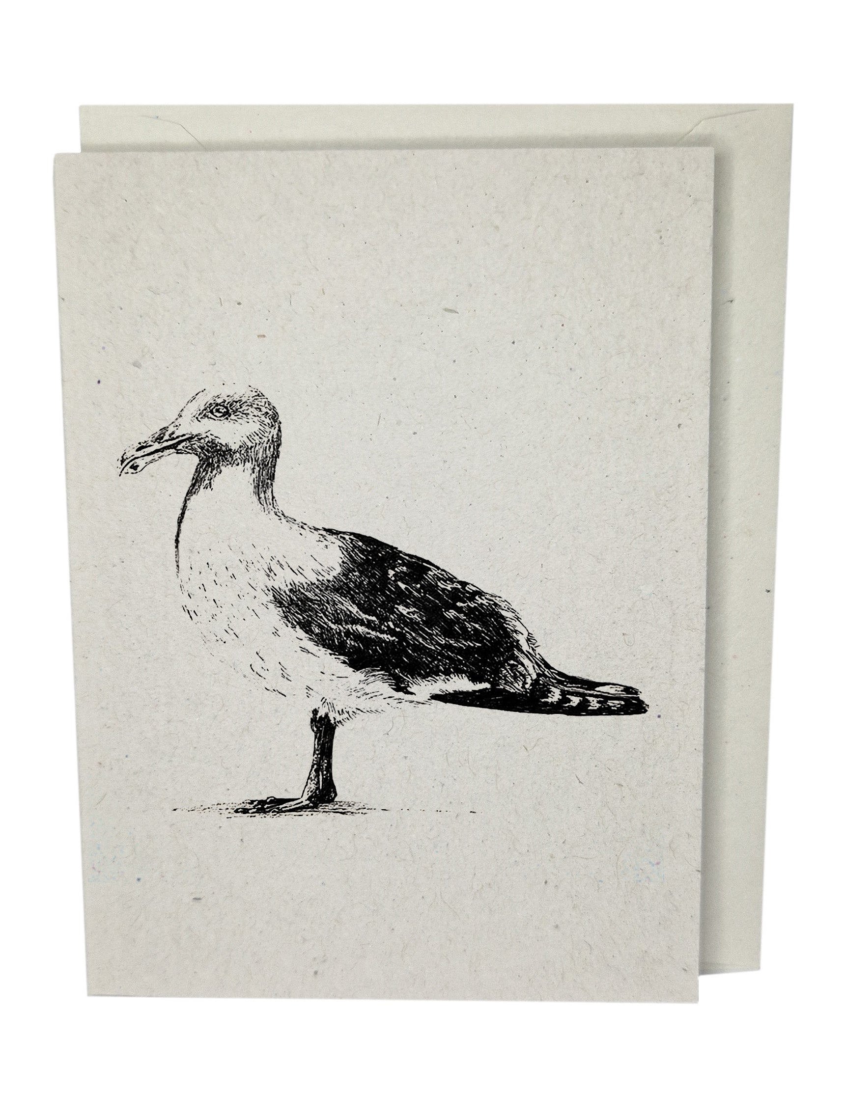 Seagull Greeting Card A7