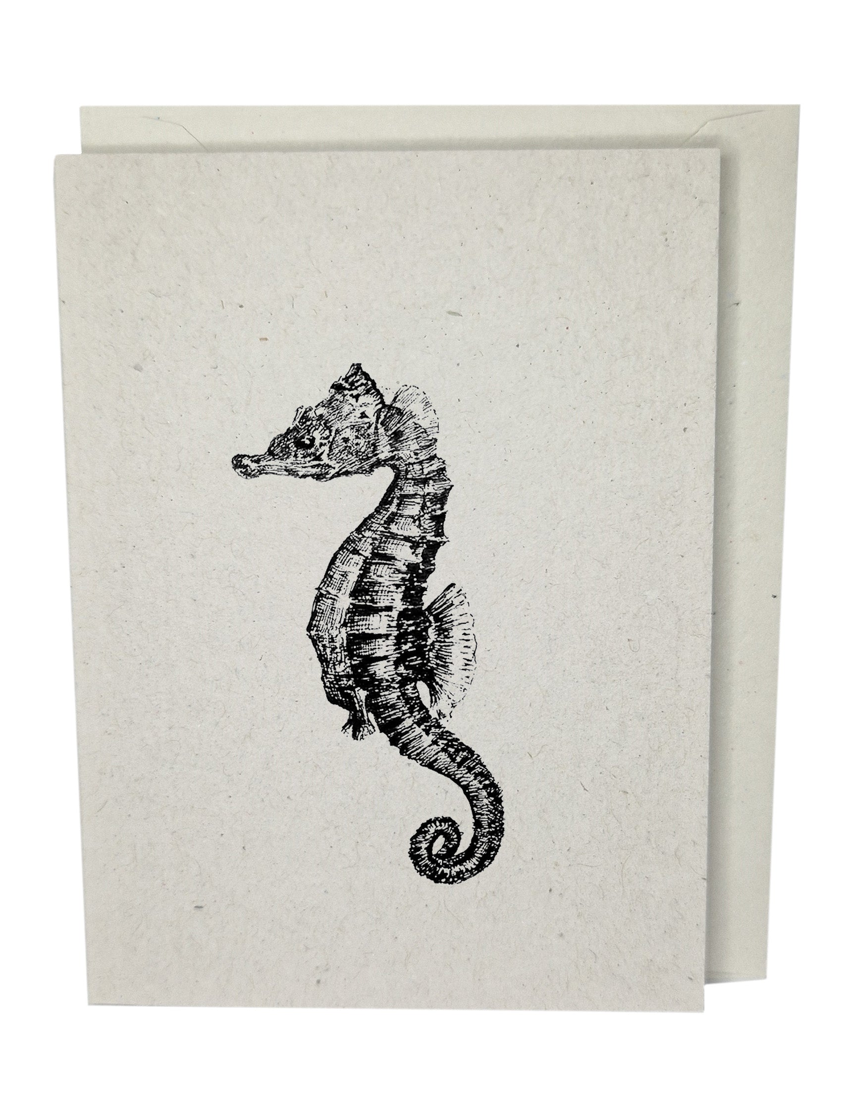 Seahorse Greeting Card A7