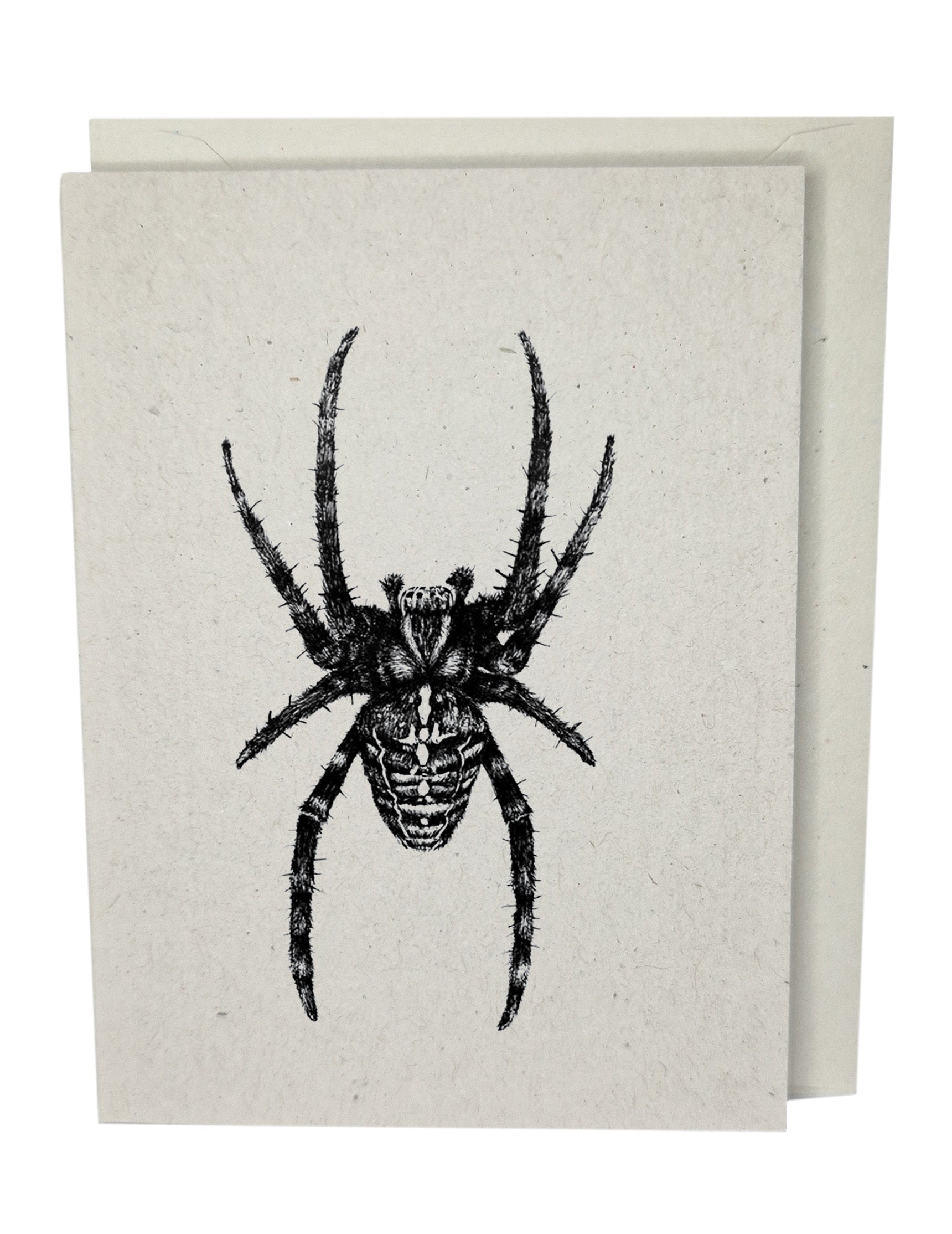 Spider Greeting Card A7