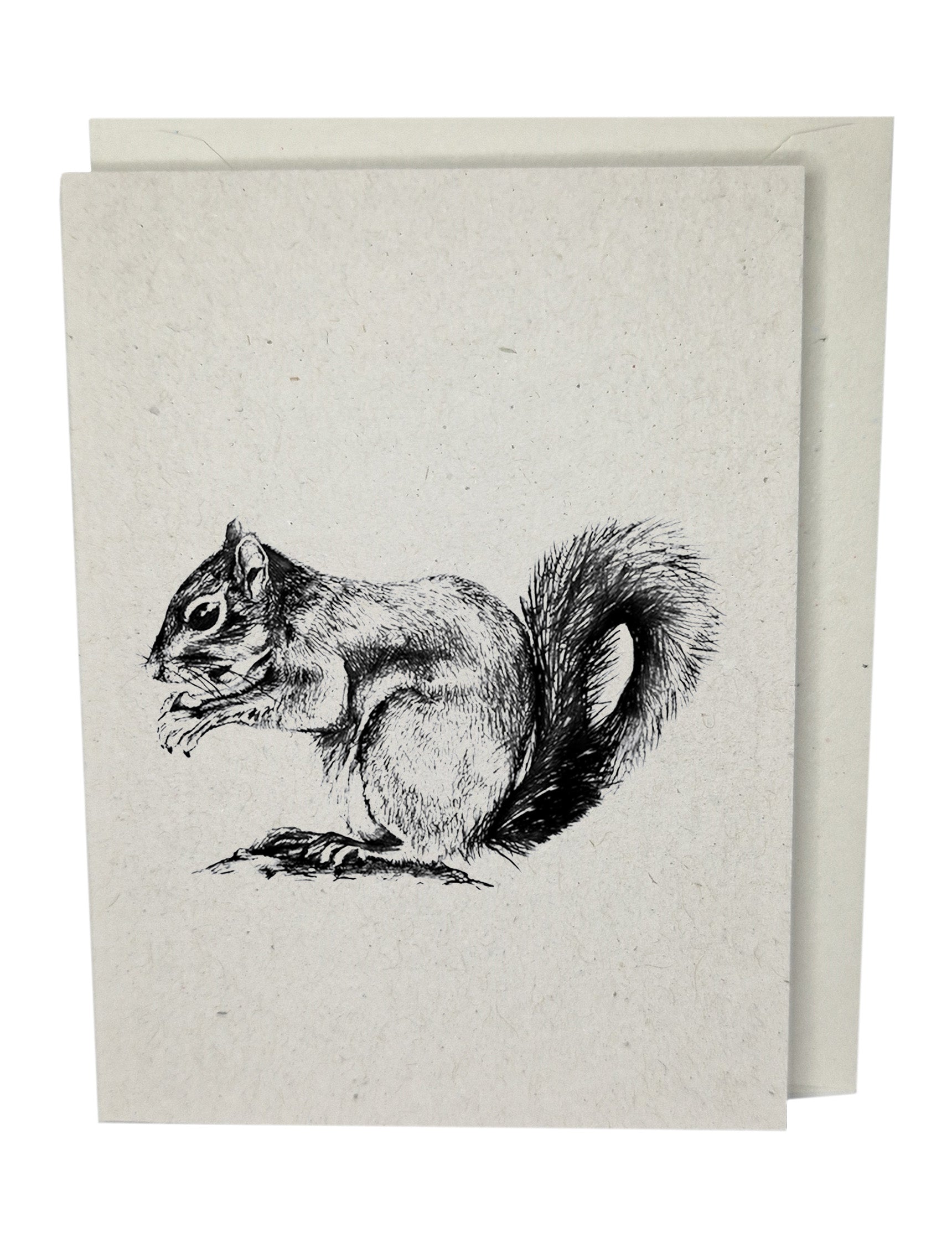 Squirrel Greeting Card A7