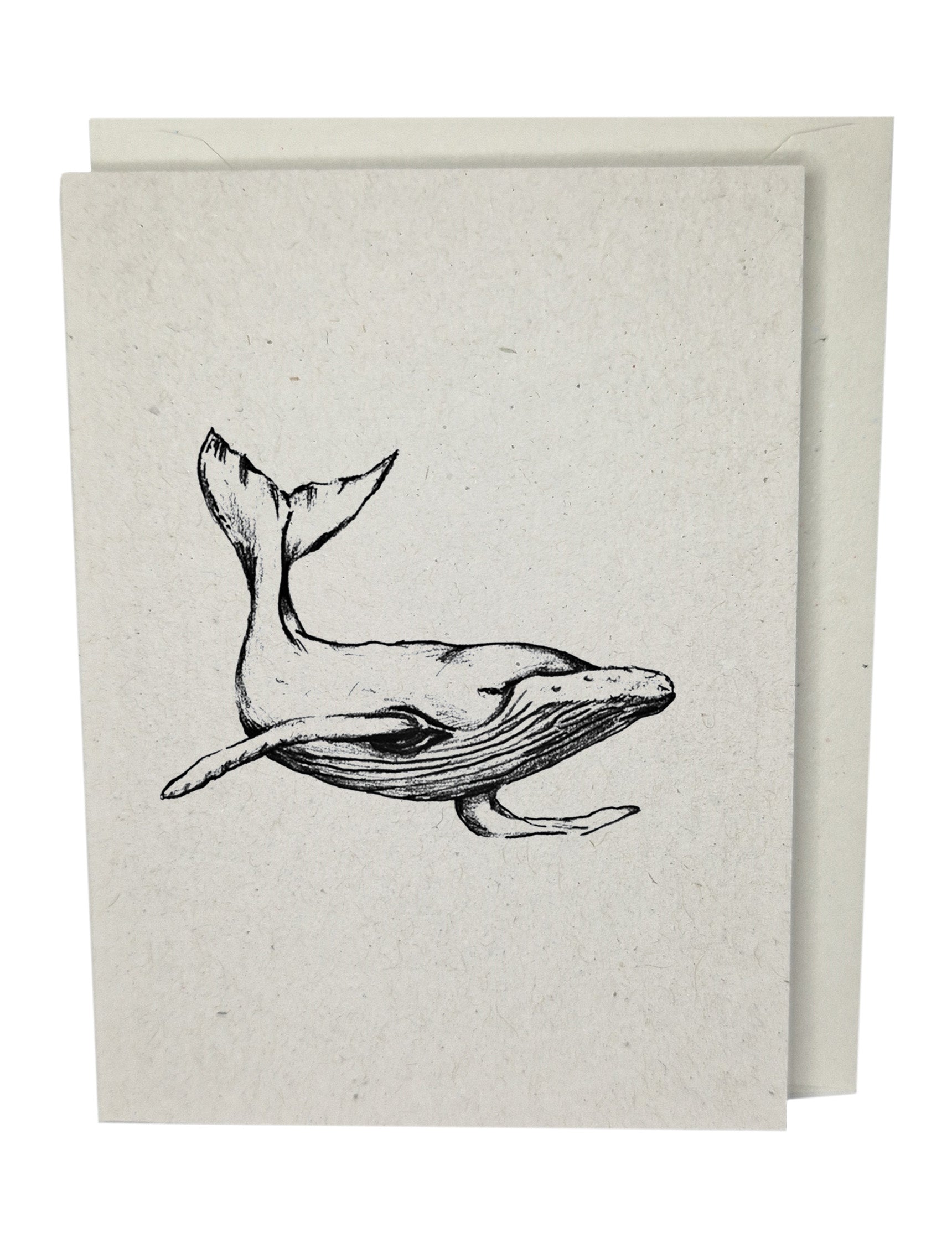 Whale Greeting Card A7